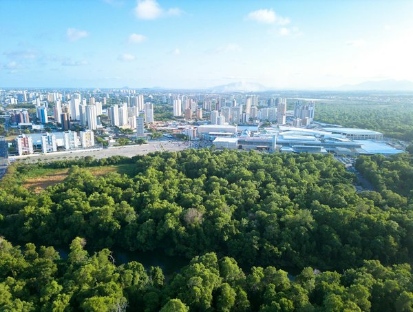 Le vin et la gastronomie : un duo à savourer ensemble